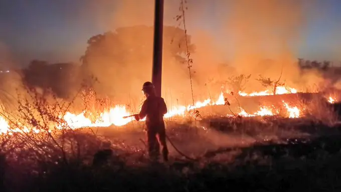Continúan los incendios en maleza seca ante alerta amarilla de Protección Civil