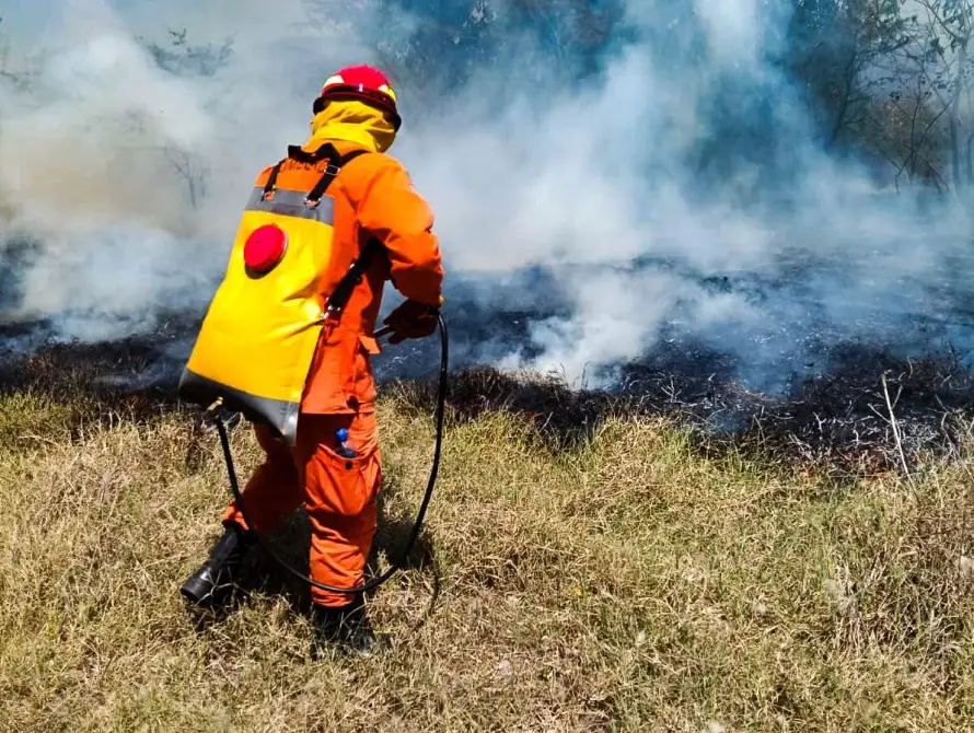 Racha de incendios deja más de 25 emergencias atendidas en tres días