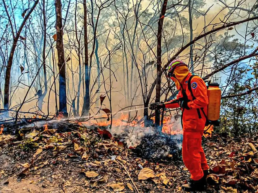 Bomberos registró 39 incendios durante el miércoles en El Salvador