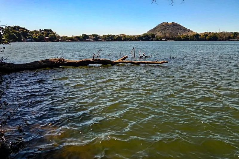 Bajos niveles de oxígeno afectan fauna acuática en laguna de Apastepeque