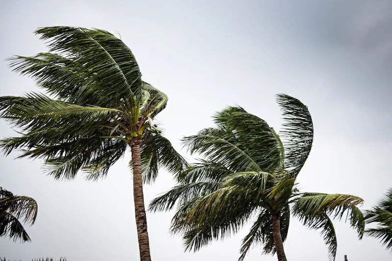 Medio Ambiente vigila ingreso de vientos nortes para la próxima semana