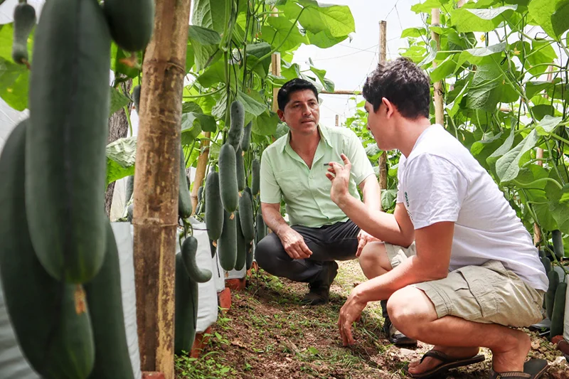 Cerca de 60 productores de San Miguel y Usulután se capacitan en agricultura inteligente