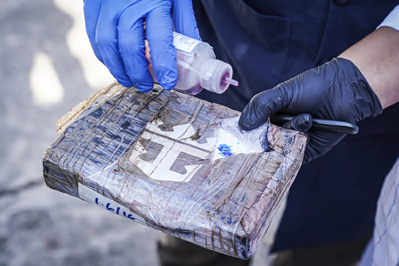 Destruyen 398 kilos de cocaína valorados en más de $10 millones