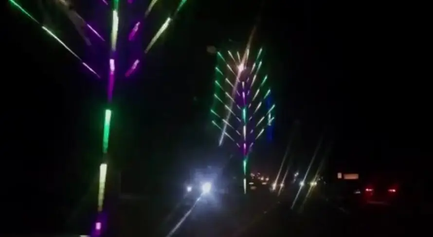 Palmeras de Qatar, la nueva y vibrante atracción en Santa Ana Oeste