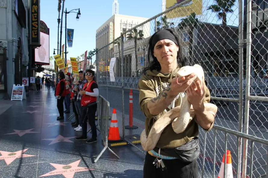 FOTOS: Bulevar de Hollywood se transforma para recibir los Oscar 2026
