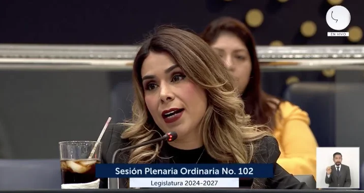 Diputada Villatoro dice Arena pidió legalización de comunidad 2 de noviembre y Nuevas Ideas negó los votos