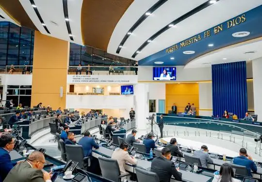 Nuevas Ideas dice aún no está definido cuántos diputados tendrá la circunscripción del exterior