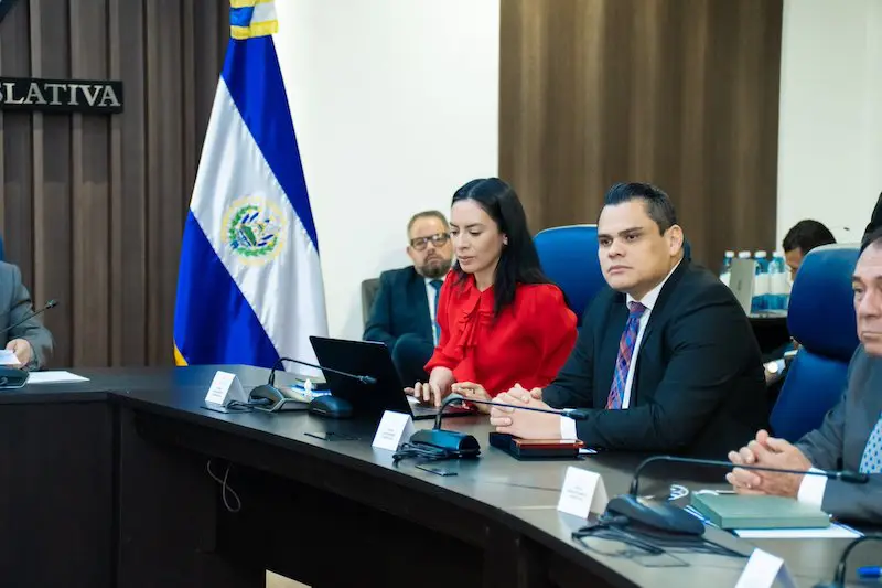 Nuevas Ideas dice pena perpetua se aplicaría a adolescentes y jóvenes, no a niños