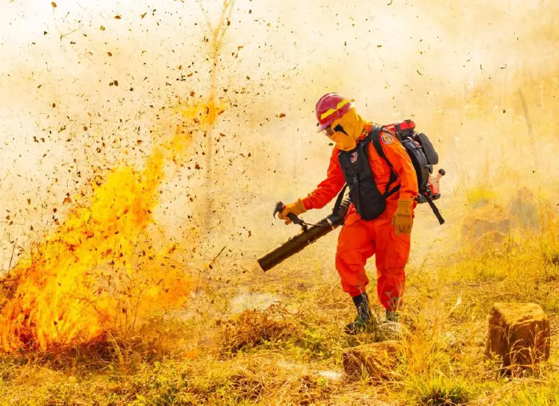 Los incendios aumentaron un 88 % en El Salvador, según Bomberos