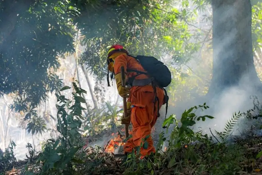 Protección Civil anuncia puesta en marcha de una comisión especial contra incendios