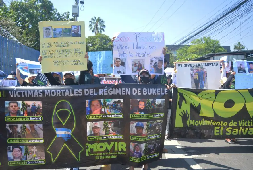 Reportan 537 muertes bajo régimen de excepción