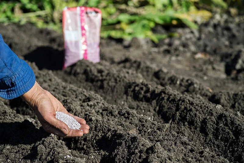 Productores salvadoreños temen alza en insumos por guerra en Irán