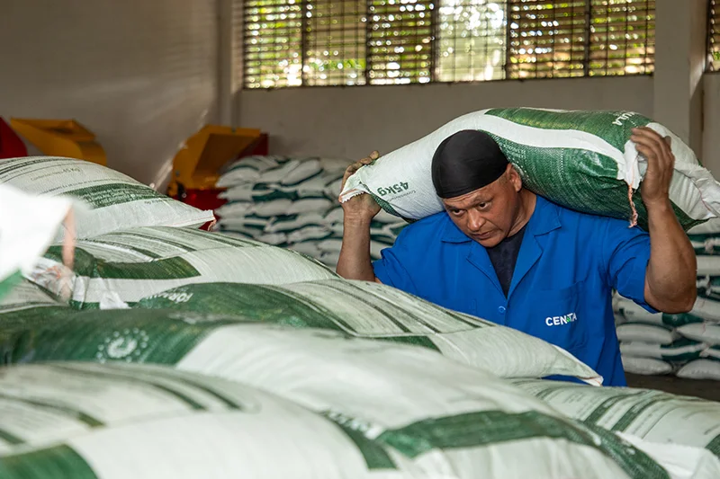 MAG activa cuatro sucursales de AGROCENTA para venta de insumos agrícolas a bajo costo