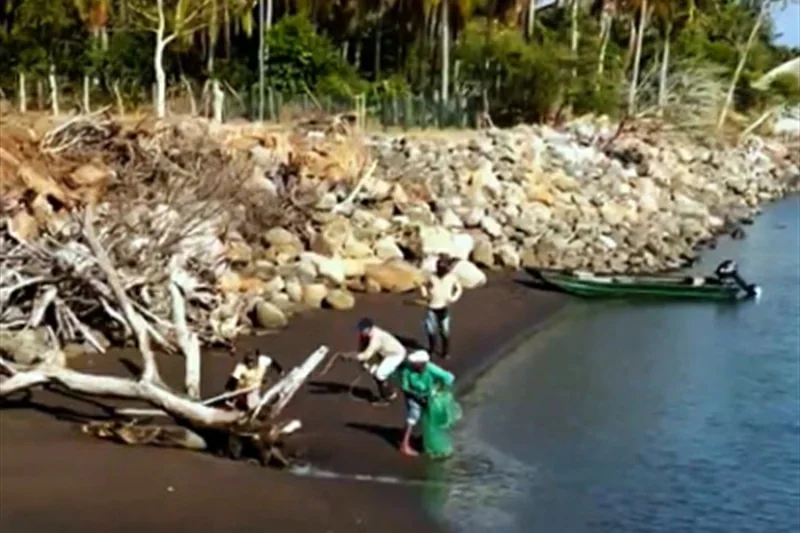 Rescatan a león marino con anzuelo incrustado en la mandíbula en Barra de Santiago
