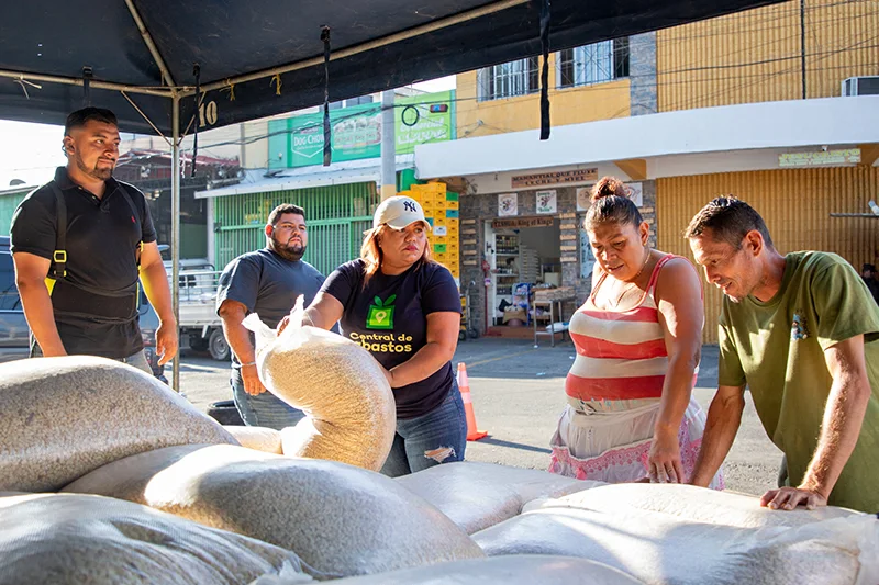 MAG habilita puntos de venta de maíz a $22 el quintal
