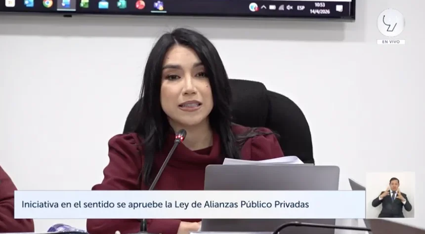Dania González: "El Estado es el responsable del sistema de salud, la participación privada no sustituye esta obligación"