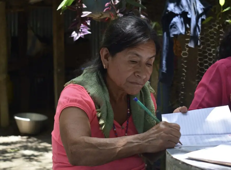 El analfabetismo se redujo a 8.8 %, la menor tasa en 20 años: encuesta de hogares