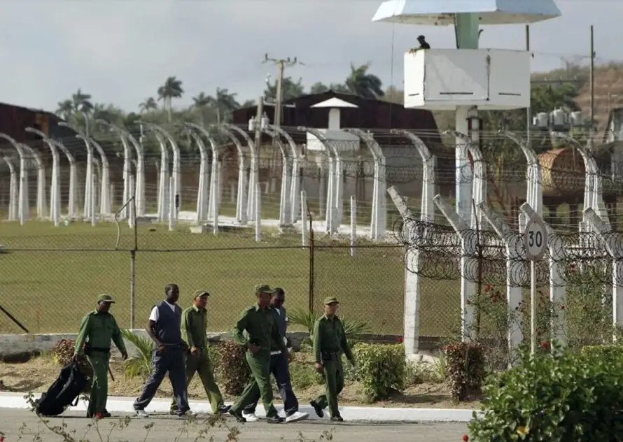 ONG denuncia desnutrición severa en 90,000 presos cubanos
