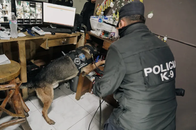 Encuentran droga en restaurantes y clubes de la colonia Miramonte y de la Zona Rosa: cuatro capturados