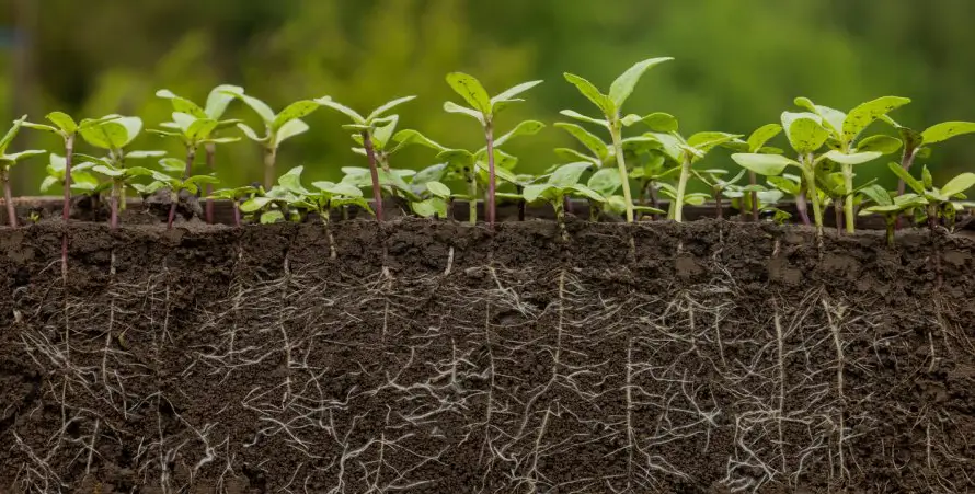 El Día de la Tierra o cómo seguir luchando por un planeta menos cálido y contaminado