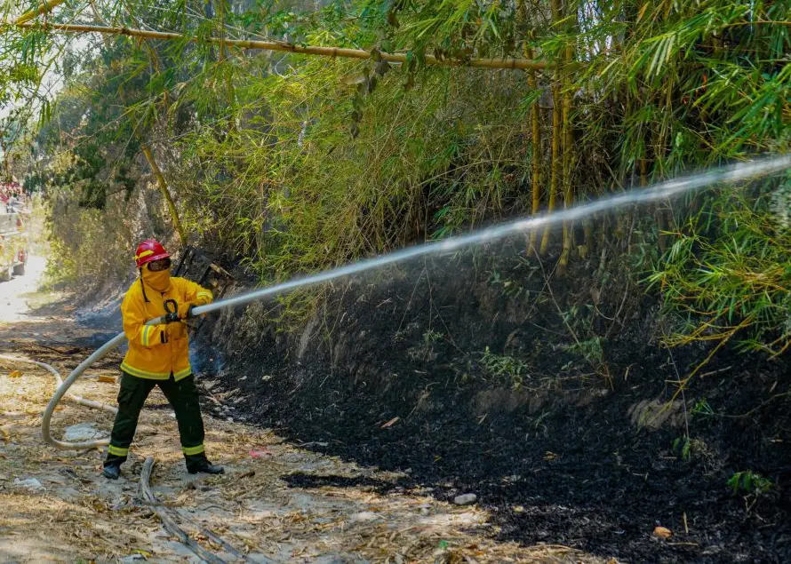 Altas temperaturas convierten zonas en focos de incendios forestales, advierte Protección Civil