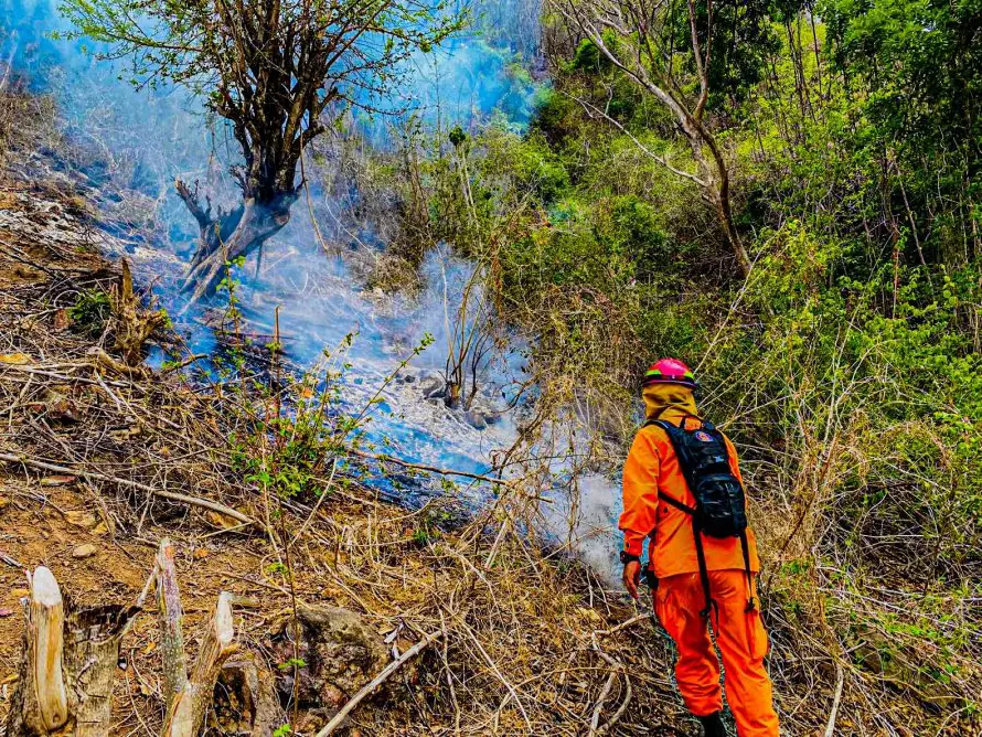 Medio Ambiente reitera prohibición de quemas agrícolas en el país