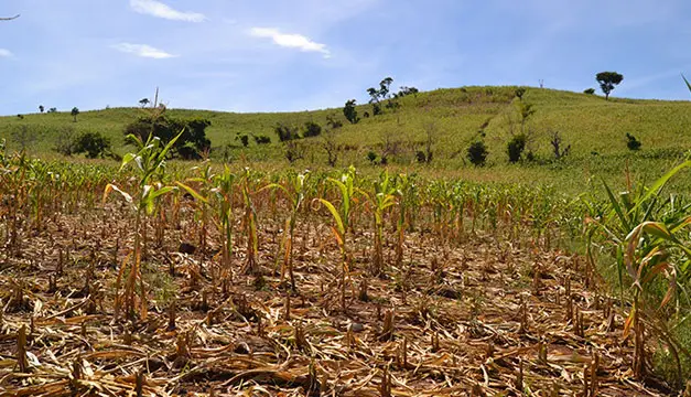 Medio Ambiente confirma la llegada de El Niño a El Salvador y advierte de un impacto "muy fuerte" con canícula temprana
