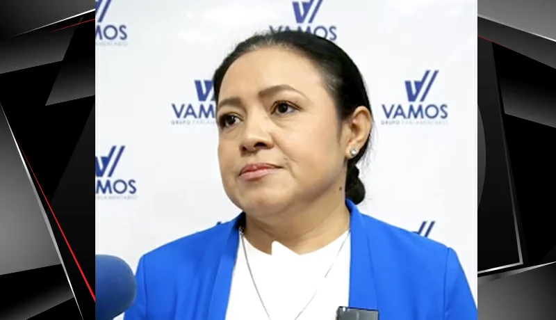 Diputada Cesia Rivas: “Lamentablemente se convocan comisiones y se suspenden”