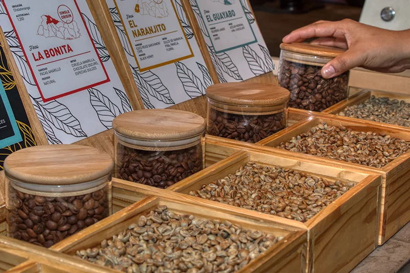 Demanda de café crecerá por auge turístico y expansión de cafeterías, según USDA
