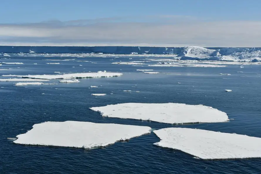 Las aguas cálidas se acercan a la Antártida y amenazan con derretir el hielo desde abajo