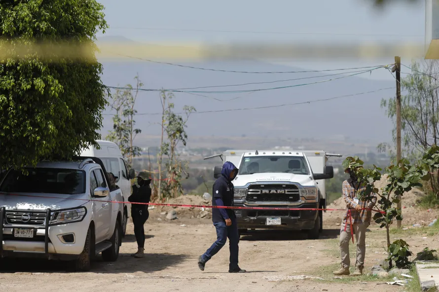 Colectivos de búsqueda en México hallan fosa clandestina con 60 bolsas con restos humanos