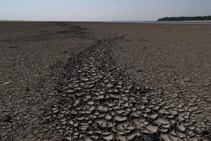 Latinoamérica vivió episodios de calor extremo "sin precedentes" en 2025, según la OMM