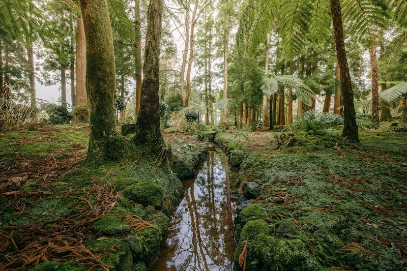 El cambio climático amenaza con extinguir hasta el 16% de las plantas del planeta en 2100