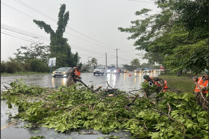 Lluvias provocaron árboles caídos y derrumbes en varias zonas