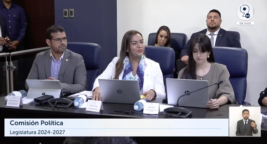 Viceministra de la diáspora ante reforma electoral: “Desde ya varios líderes están muy interesados en postularse”