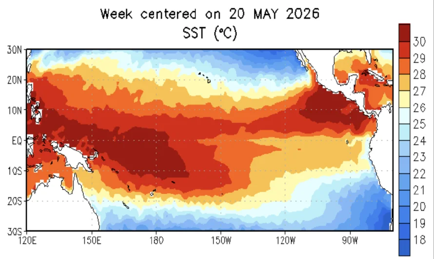 Ni "Súper Niño" ni "Godzilla": científicos piden ignorar a "gurús" climáticos y evitar el alarmismo sobre el fenómeno del Niño