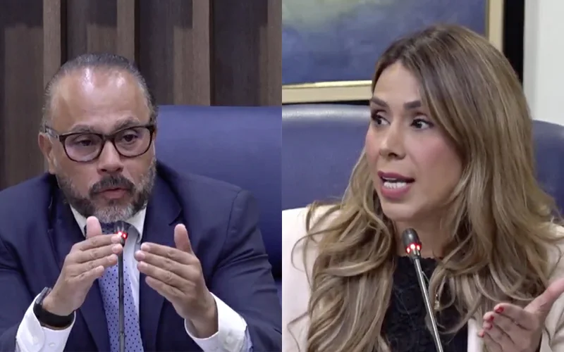 Controversia sobre cuál será el domicilio de los diputados de la diáspora