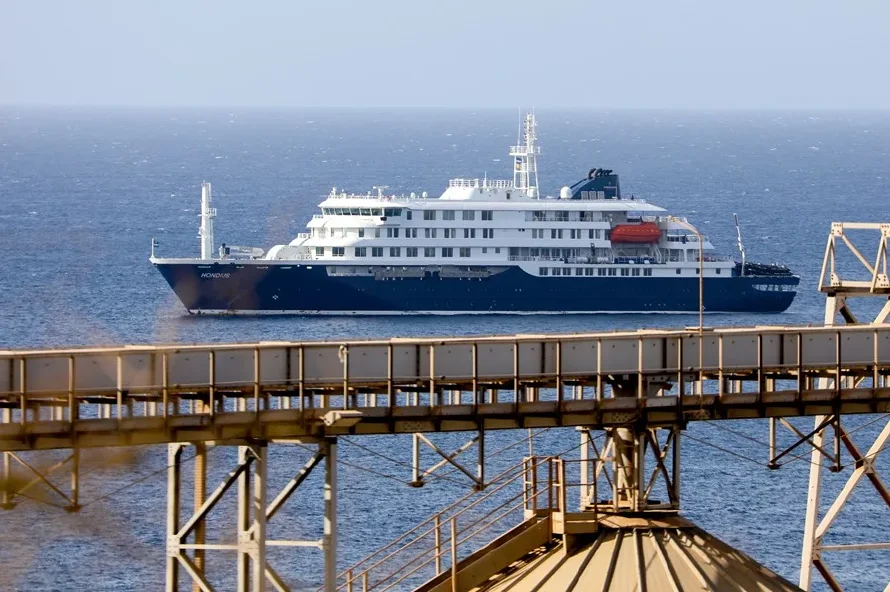 Andes Sur, el hantavirus del Crucero, transmisible entre humanos