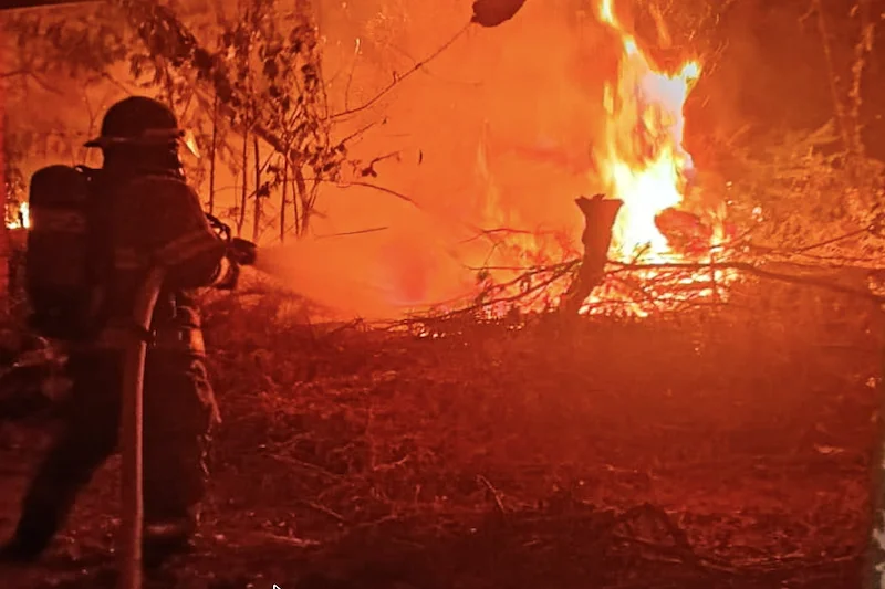 Los incendios han aumentado un 47 % en El Salvador este año