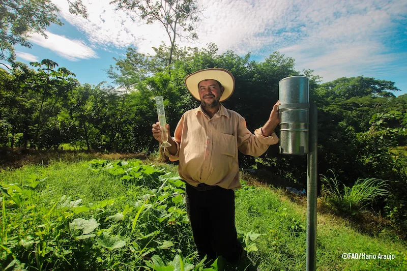 El Salvador fortalece siembras con herramienta climática ZARC