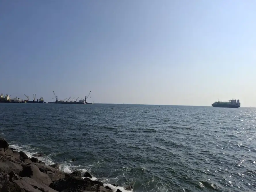 UES detecta especies tóxicas en aguas de Acajutla, aunque descarta marea roja