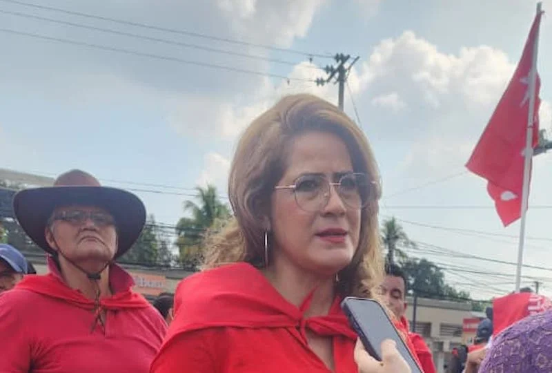 Karina Sosa, precandidata del FMLN: "A todos nos consta que tenían el control del Tribunal"