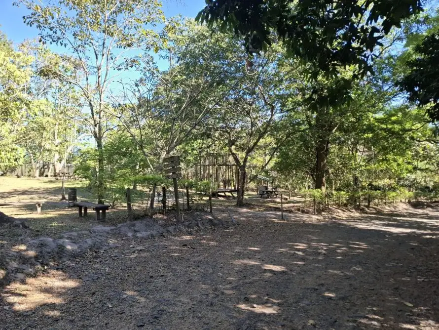 Comuna capitalina mantendrá abierto el parque Bicentenario las 24 horas