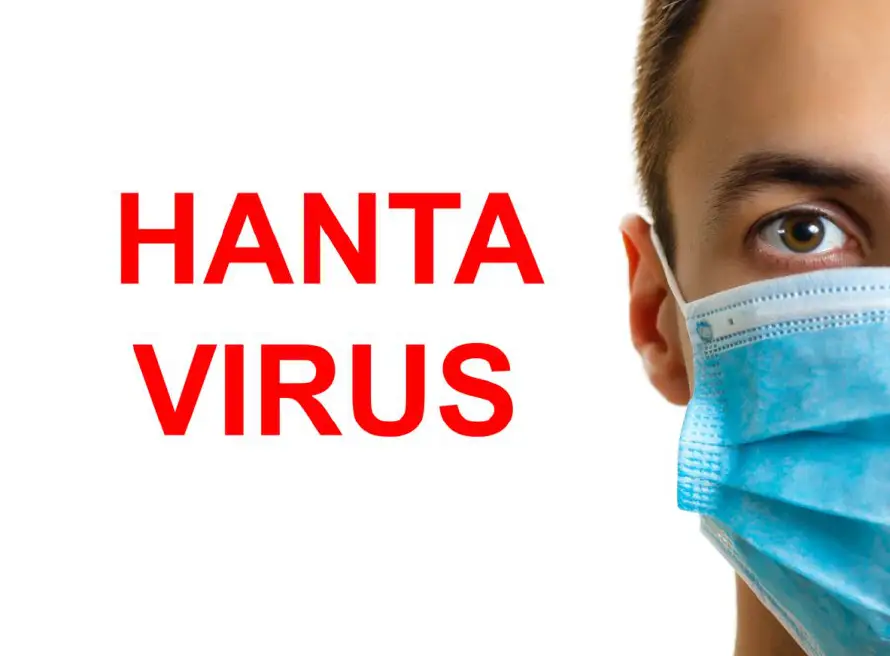 Dados de alta los contactos por hantavirus españoles y sigue ingresado el caso confirmado