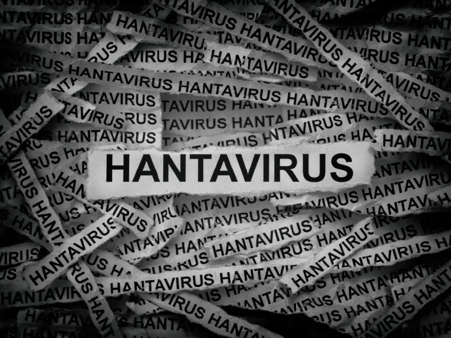 El riesgo de hantavirus en El Salvador es mínimo dice infectólogo