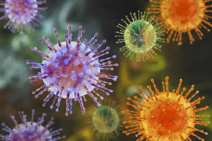Singapur aísla a dos residentes de la isla que estaban a bordo del crucero con hantavirus