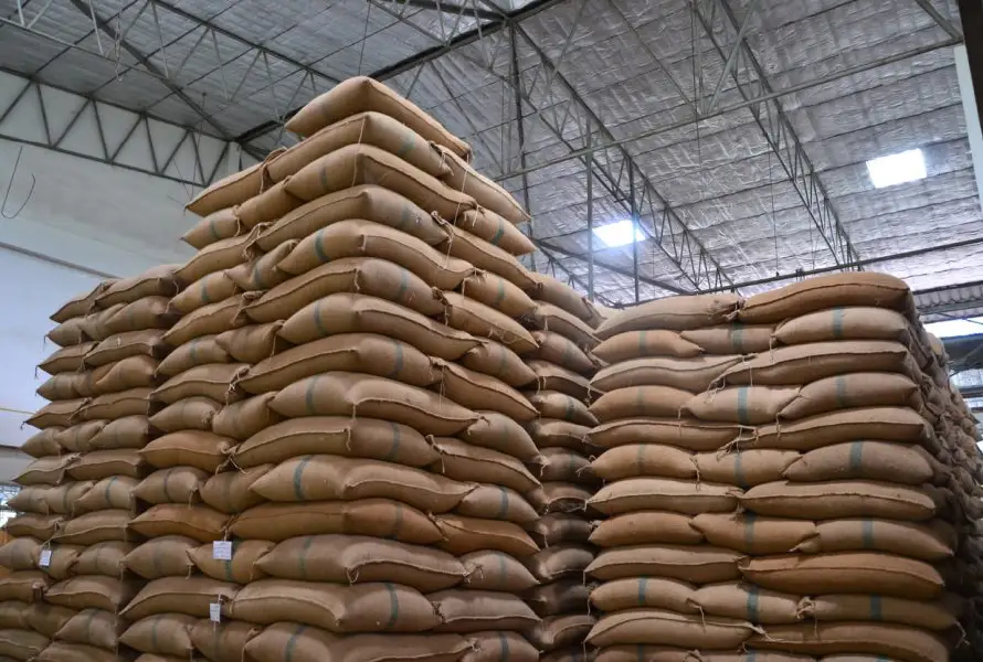 El costo de los insumos agrícolas casi se duplicó desde 2021, advierte Campo