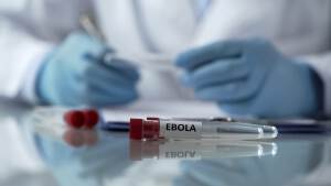 Brote de ébola deja 492 muertos en República Democrática del Congo