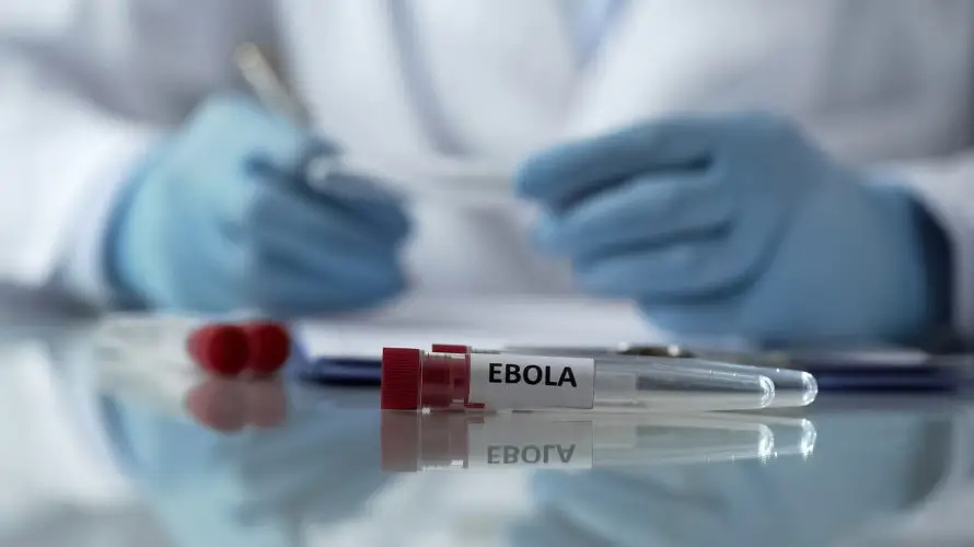 Alemania recibe a segundo estadounidense contagiado con ébola desde RDC