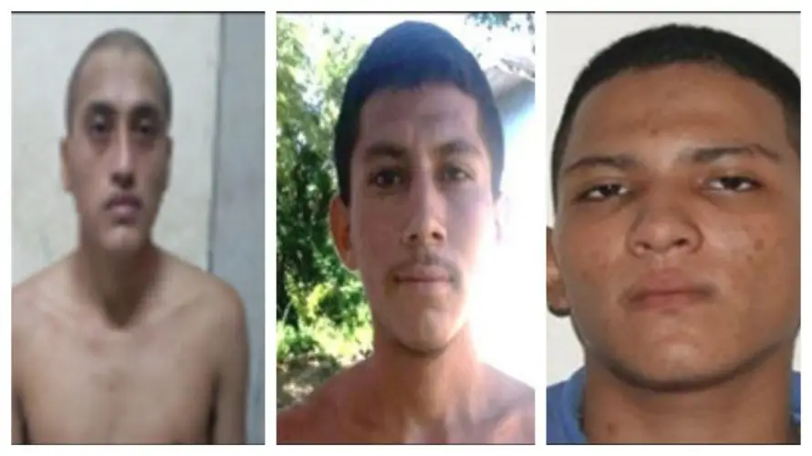 Imponen condenas de hasta 142 años de cárcel a pandilleros de la MS-13 oriente: asesinaron a un estudiante del INJECAR